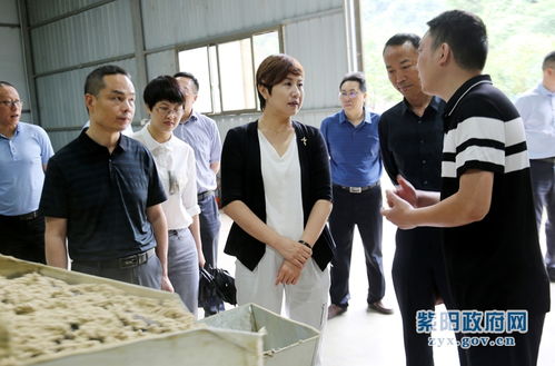 陈莲调研工业稳增长与新社区工厂发展工作