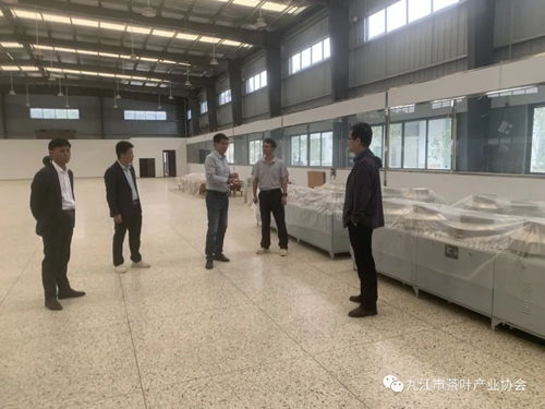九江茶产业研究院院长江和源来浔调研 聚焦茶叶深加工与代理代办服务升级